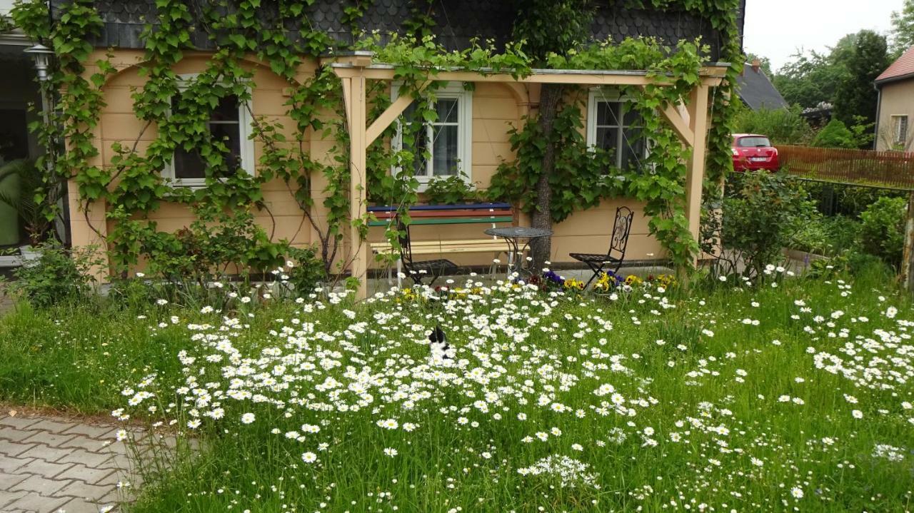 Privatzimmer Lehmann Kottmar Exterior foto